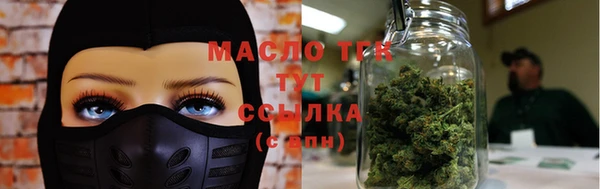 mdpv Богородицк