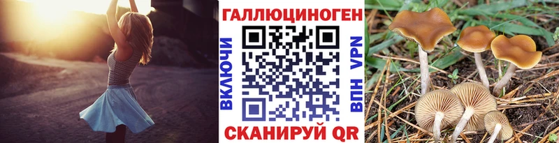 Псилоцибиновые грибы MAGIC MUSHROOMS Екатеринбург