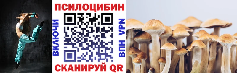 Галлюциногенные грибы Psilocybe  как найти   Екатеринбург 